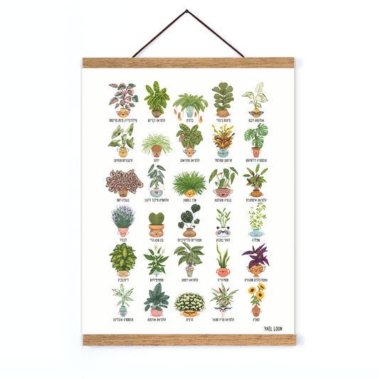 פרינט שלושים ונהנים