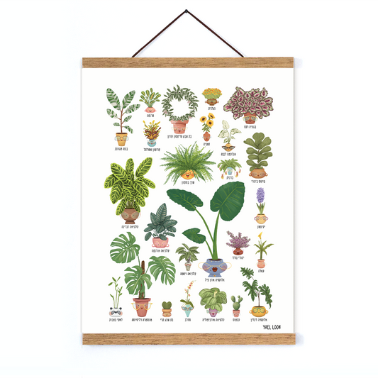 פרינט ה-חגיגה 30*40 ס"מ