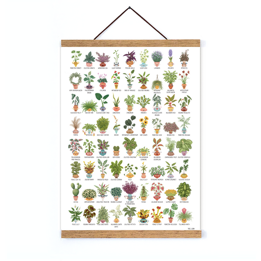 פוסטר ה-נבחרת באנגלית