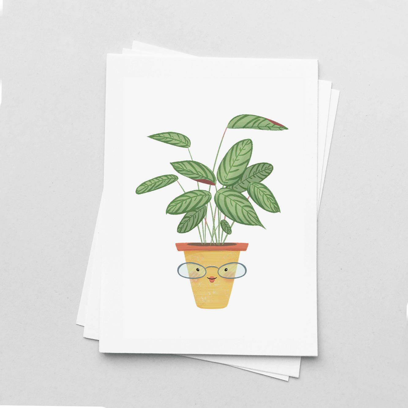 גלויה קלתיאה סטוסה