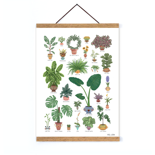 פוסטר ה-חגיגה