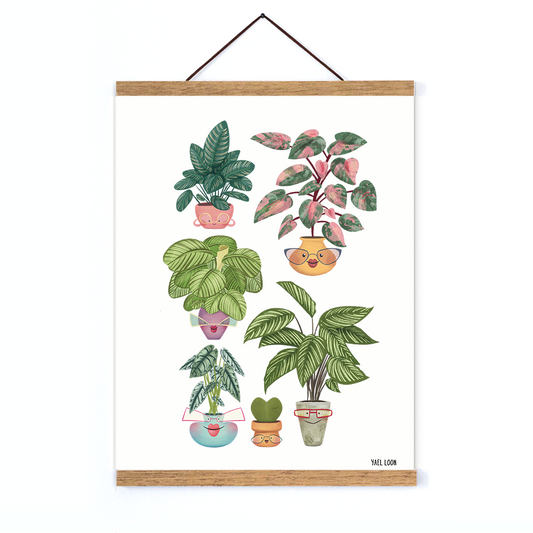 פרינט צוות קשת