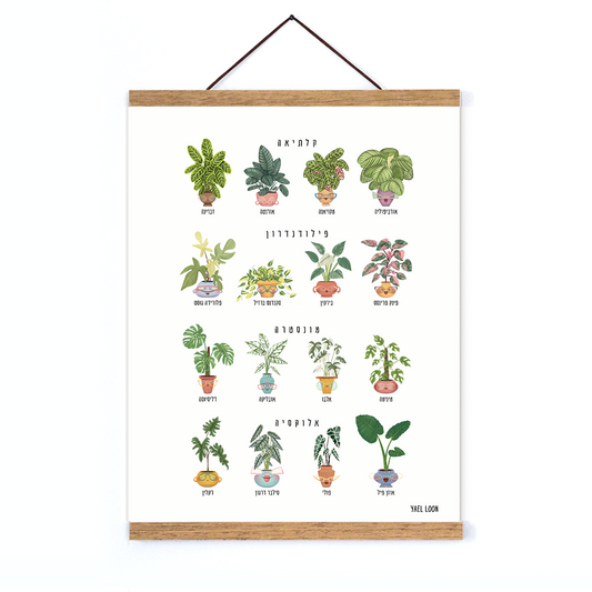 פרינט היפים והאמיצים