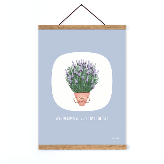 פרינט צבעוני לבנדר